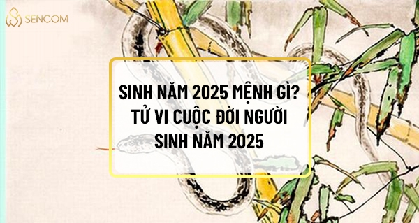 Sinh năm 2025 mệnh gì? Tử vi cuộc đời người sinh năm 2025