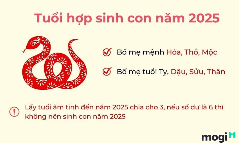 2025 Mệnh Gì? Giải Mã Tử Vi Sinh Con Trong Năm 2025 Có Tốt ...