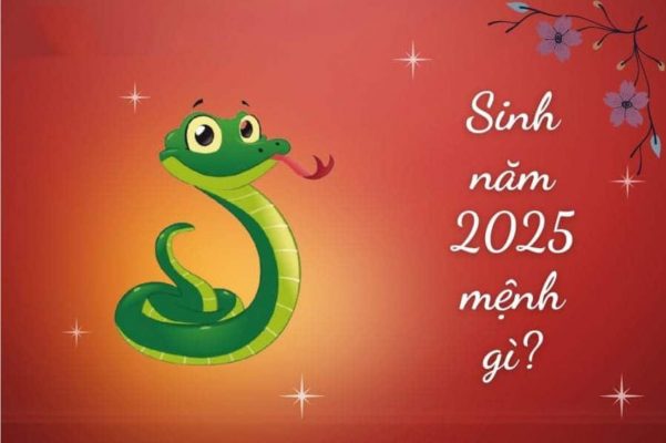 Sinh năm 2025 mệnh gì hợp màu gì? Tử vi Ất Tỵ - NestCons