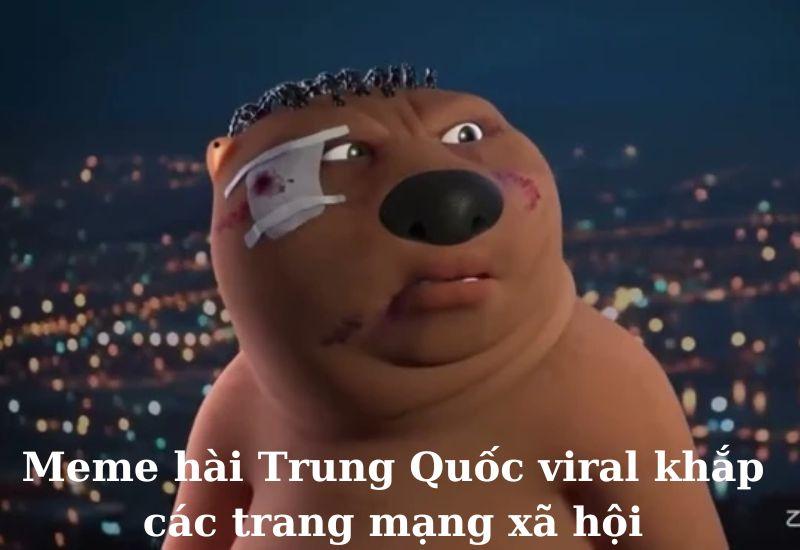 Full) Meme Trung Quốc hài hước, bựa nhất (hải ly, gấu)