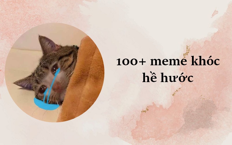 100+ Ảnh Meme khóc (hài sặc sụa) vừa khóc vừa cười