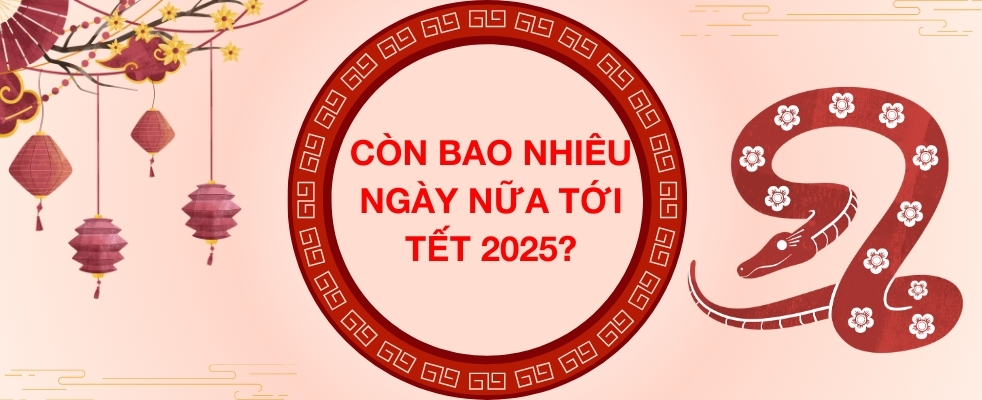 Còn bao nhiêu ngày nữa đến Tết 2025 tính từ hôm nay