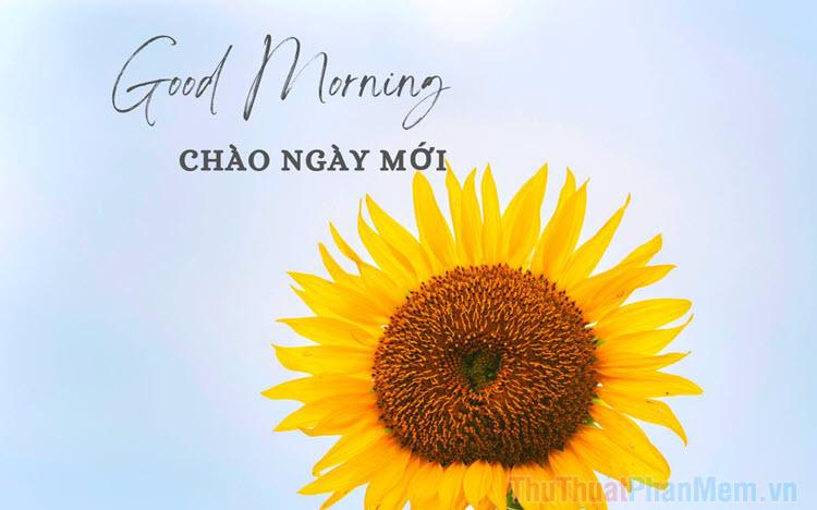 Hình ảnh chào ngày mới đầy năng lượng