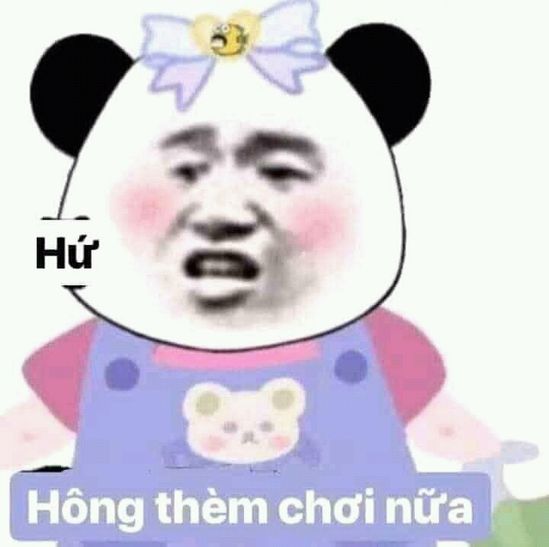 63 Dỗi ý tưởng | ảnh chó vui nhộn, meme, hài hước