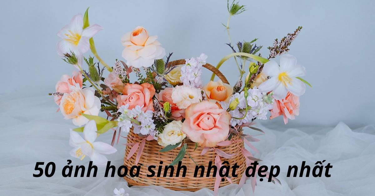 Tải ảnh hoa sinh nhật đẹp: mẫu hoa sinh nhật đẹp nhất hiện nay