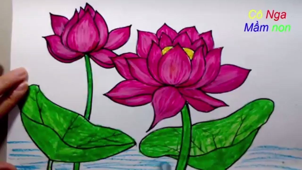 Vẽ hoa sen đơn giản - How To Draw Lotus Step By Step - Easy Drawing