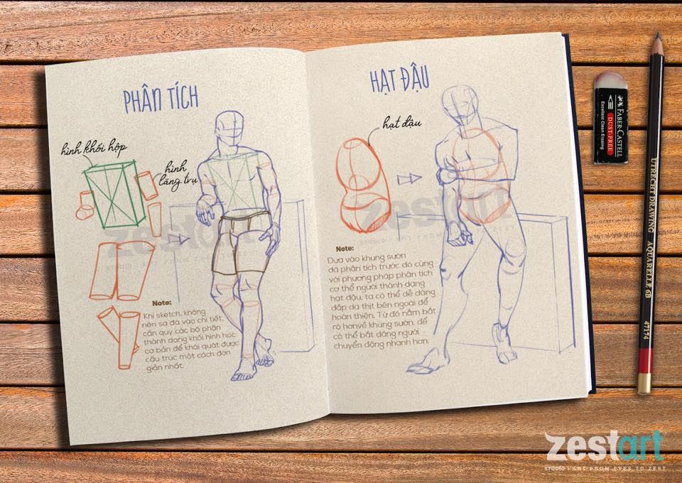 Khóa học vẽ Ký họa Dáng người (Figure Sketching) - Sketch cơ ...